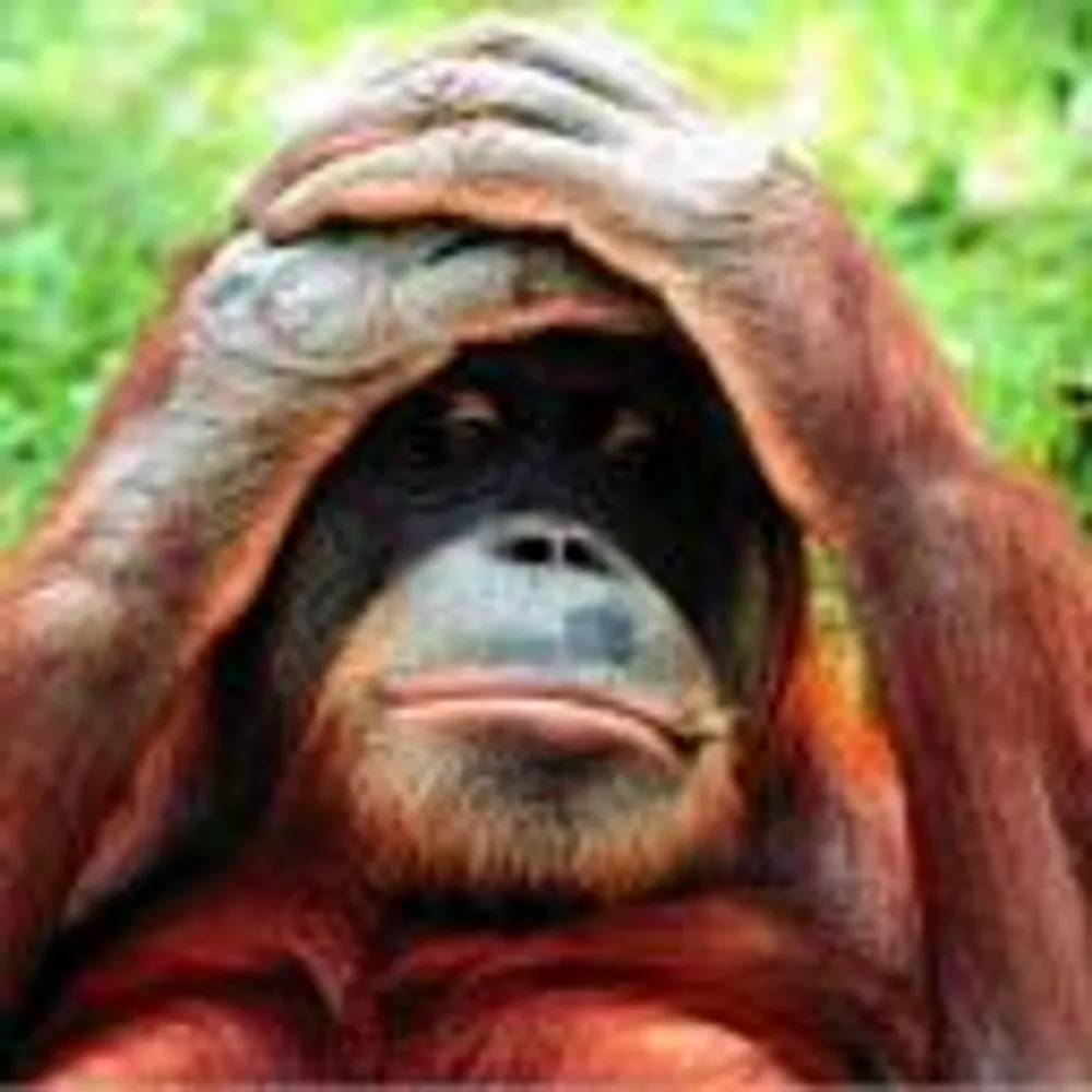 Foto Profilo di louys90