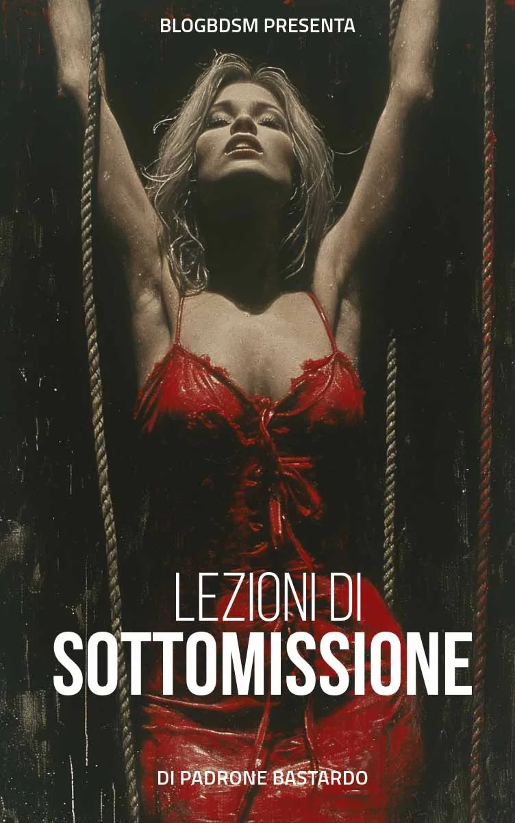 Copertina libro erotico: Tutorial: Lezioni di sottomissione