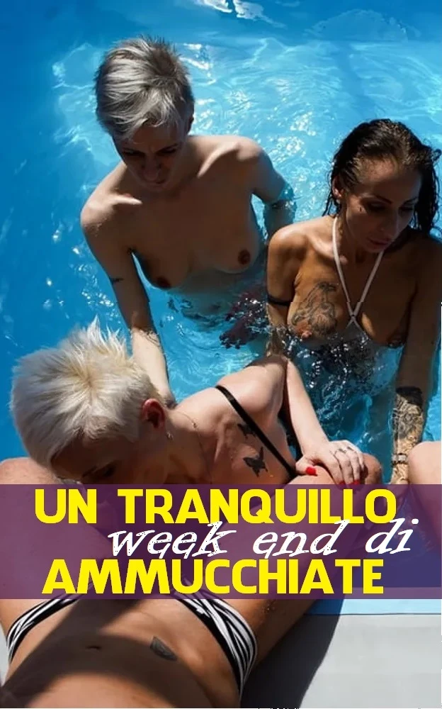 Copertina libro erotico: Un tranquillo weekend di ammucchiate