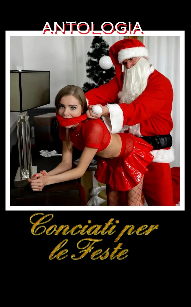 Copertina libro erotico: Conciati per le Feste