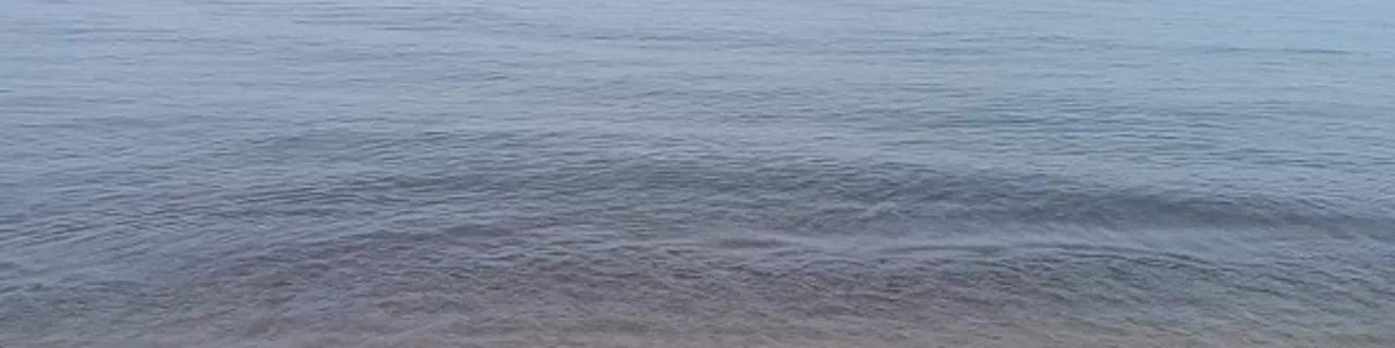 Header